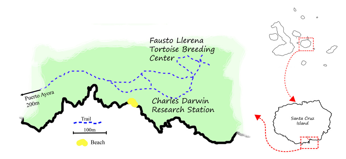 Charles Darwin Research Station Tour, Santa Cruz,  Galapagos