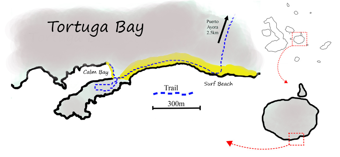 Galápagos visitor map 03