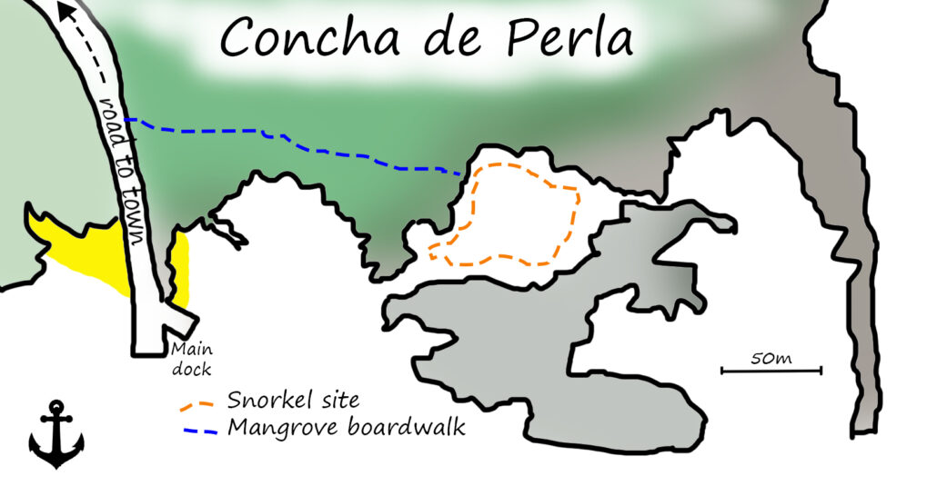 Map of Concha de Perla showing the boardwalk and snorkelling area