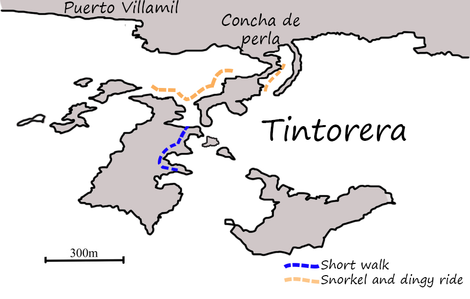 Map of Tintoreras near Puerto Villamil, Isabela