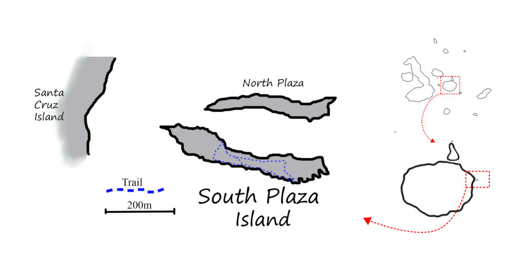 Map of South Plaza Island