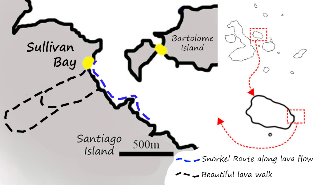 Map of Sullivan Bay on Santiago Island showing the lava walk and snorkelling route
