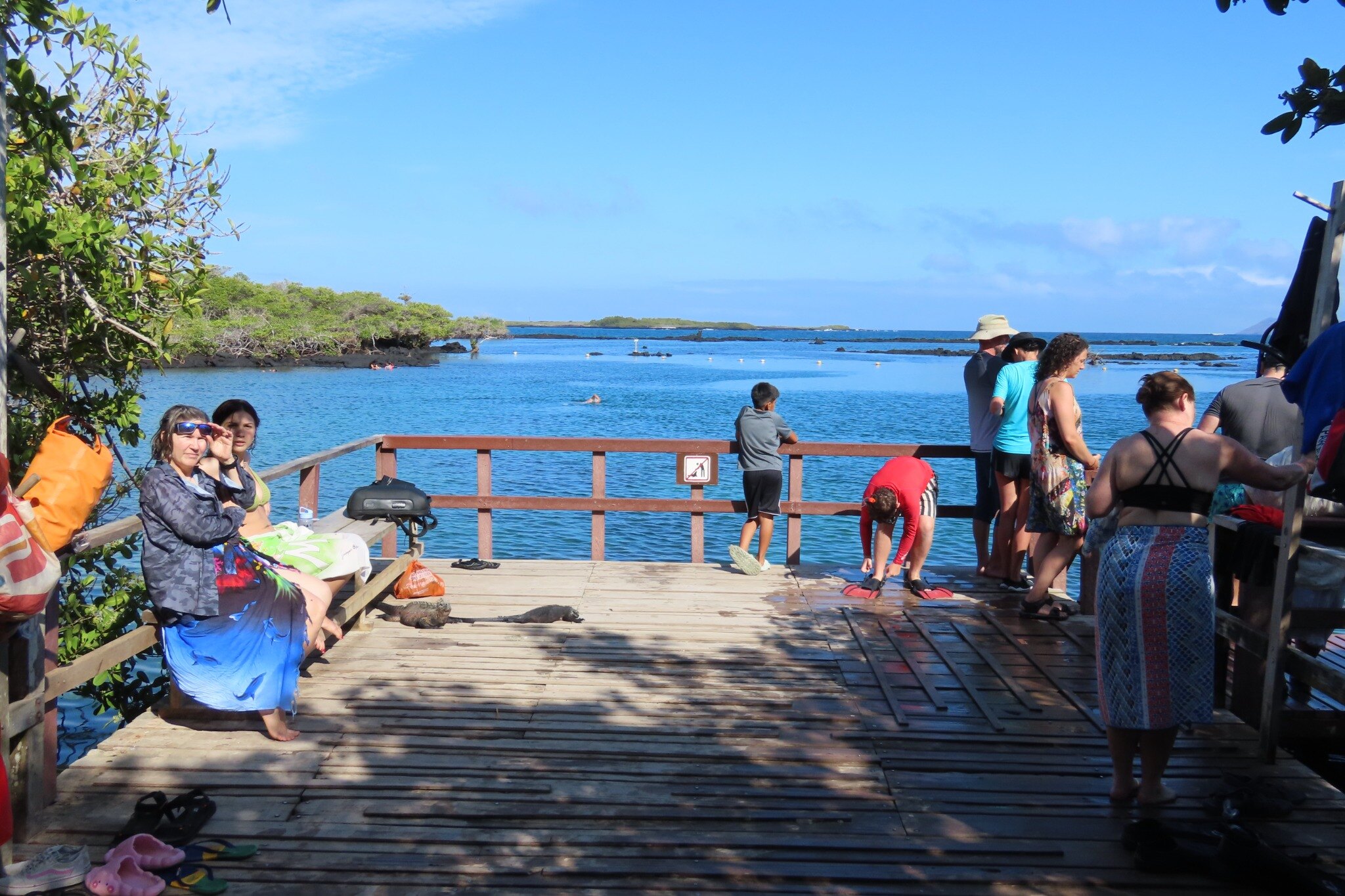 A Galápagos sea lion beside the sheltered water at Concha de Perla.