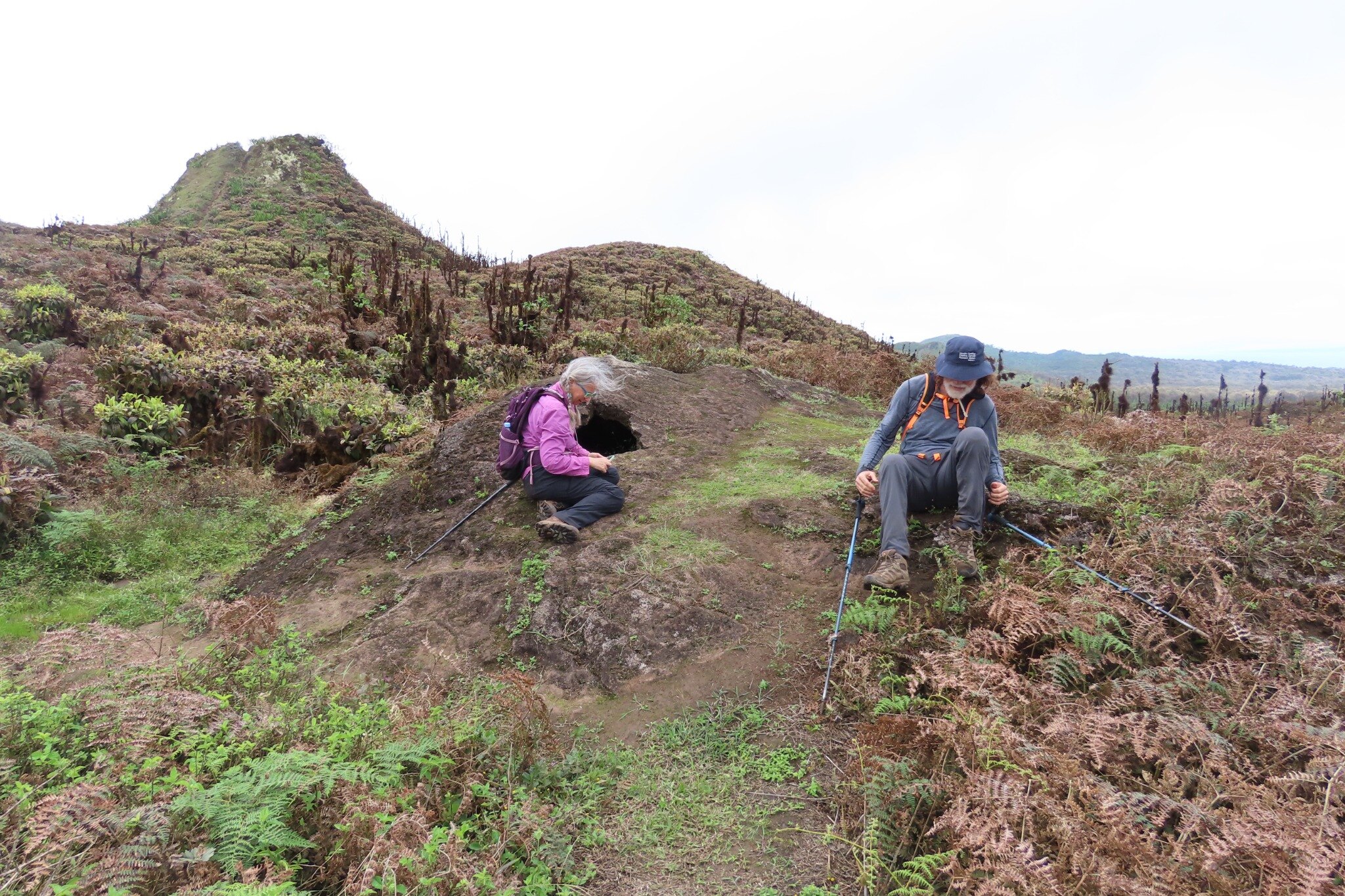 A walking trail through the Santa Cruz highlands near El Puntudo.