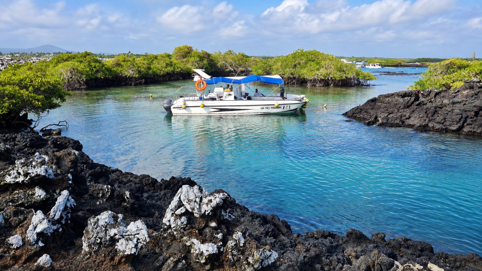 Lava channels and clear water at Las Tintoreras.