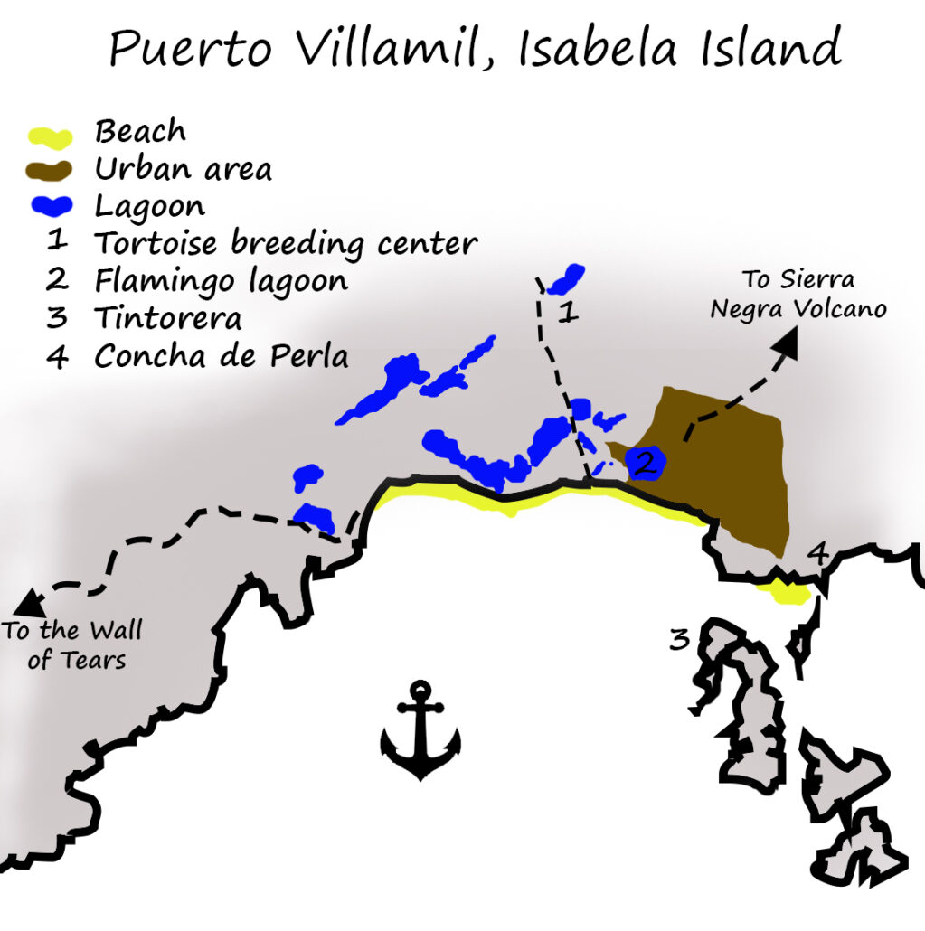 Map of Puerto Villamil, Isabela Island
