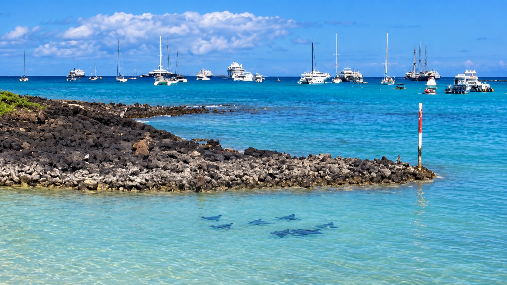 Puerto Ayora waterfront and harbour.