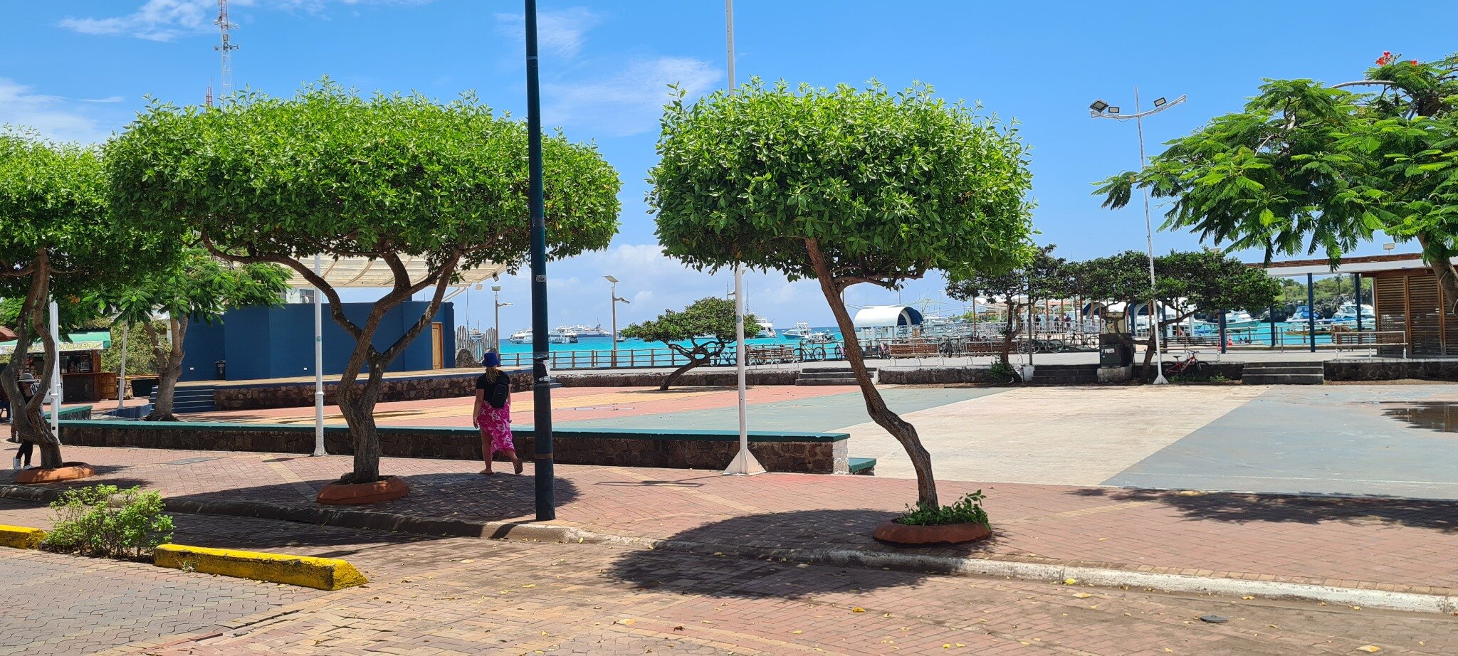 A Galápagos sea lion resting near Puerto Ayora harbour.