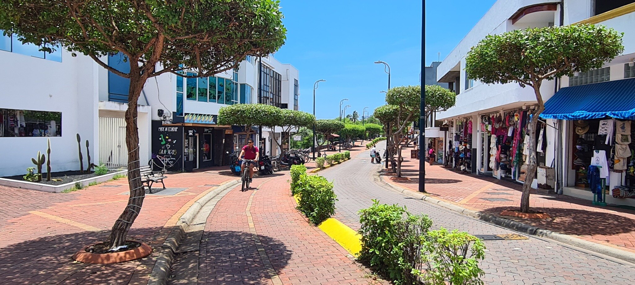 Wildlife and daily activity around the waterfront in Puerto Ayora.