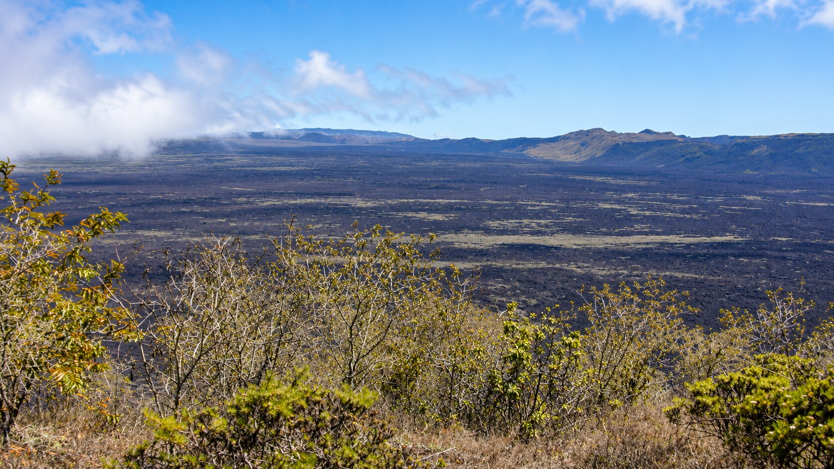 The volcanic landscape of Sierra Negra and Volcán Chico.